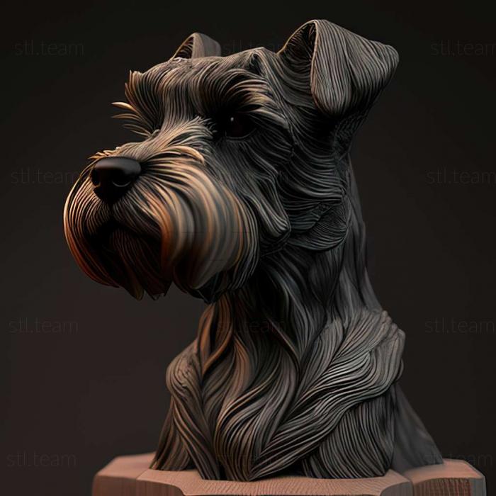 Zwergschnauzer dog